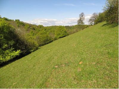Grassland slope view